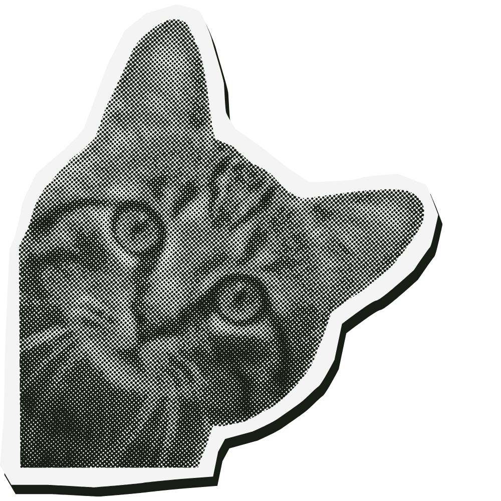 STAND OUT IN THE FEED